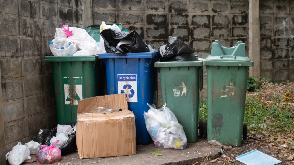 fenntarthatóság a mindennapokban