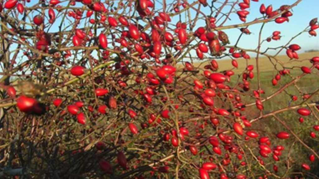 Több, mint program - túlélési tudás