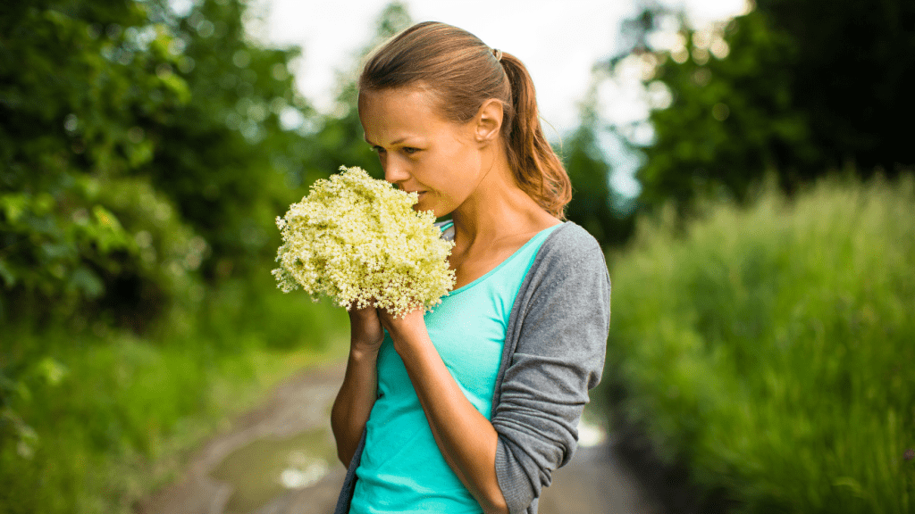 tavaszi immunerősítő