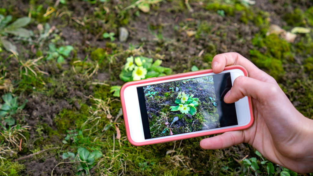 tavaszi immunerősítő