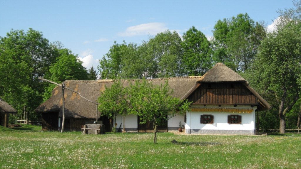 nádtető, ház, parasztház