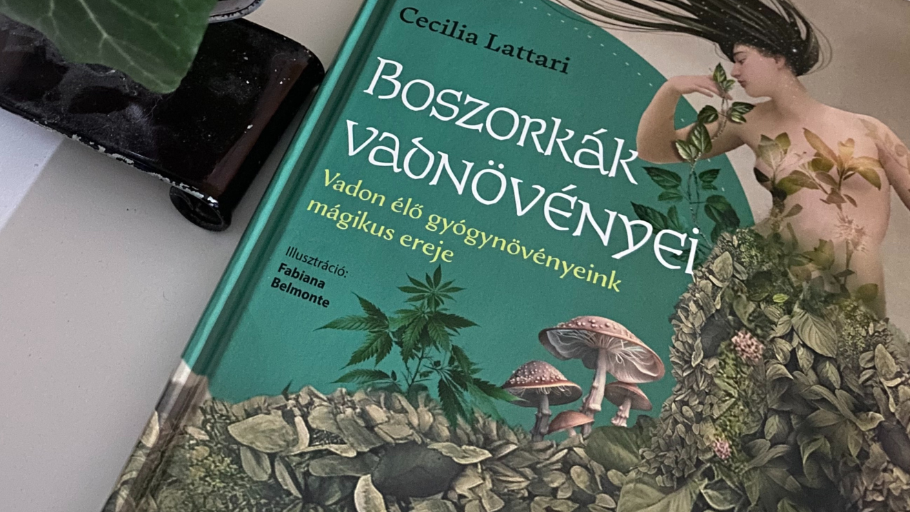 Boszorkák vadnövényei avagy könyvbe rejtett kapu az ősboszorkához — könyvajánló