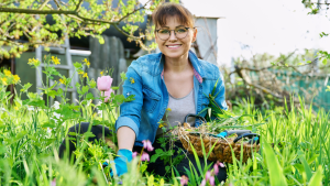tavaszi gyomnövények