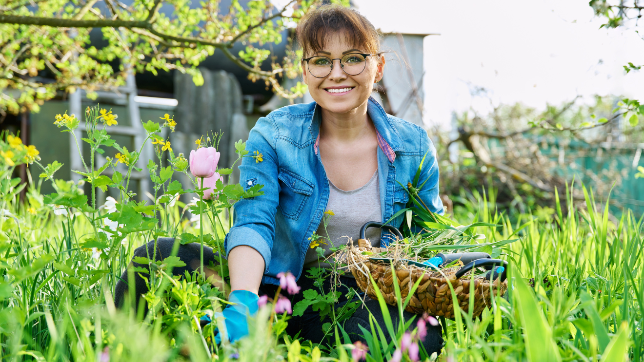 tavaszi gyomnövények
