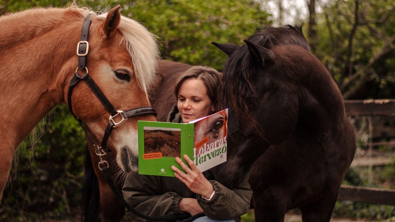 dr. Tornyi Katalin, Lóbarát közösség, Lóbarát tervező, Lóbarát Akadémia, Lóbarát fesztivál