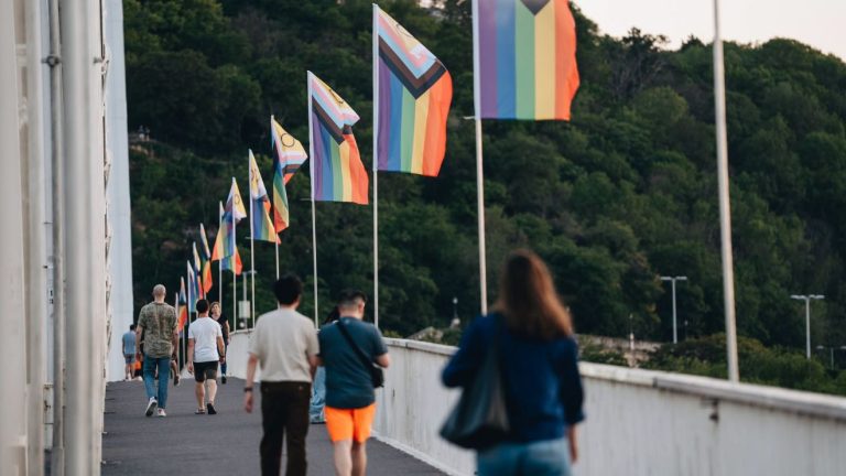 Budapest Pride, Erzsébet híd, Pride zászló,