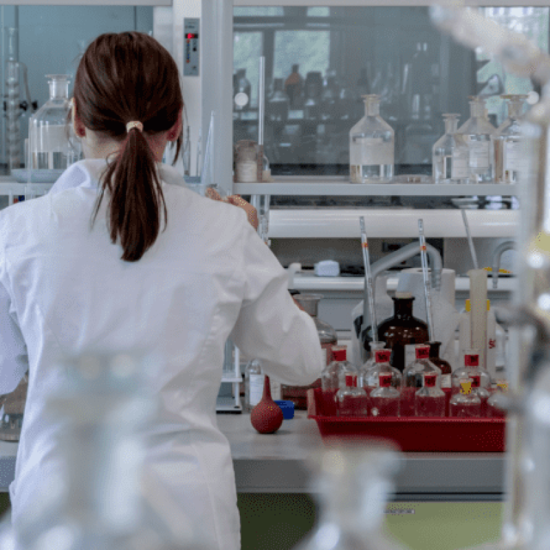 0201cikk-kepek-2021-6-800x445-2