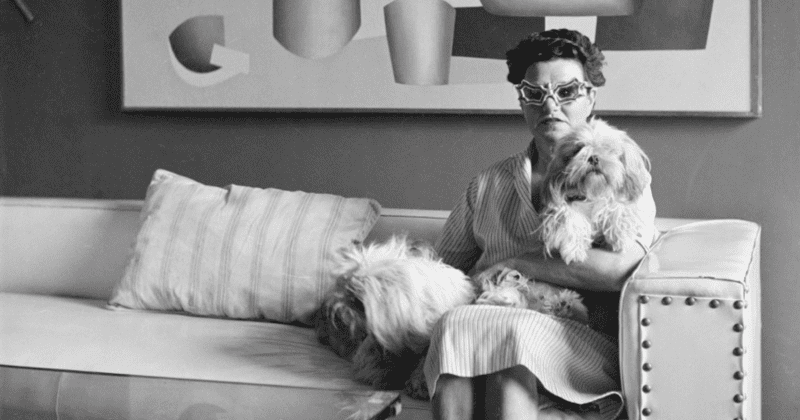 0201cikk-kepek-2021-800x445