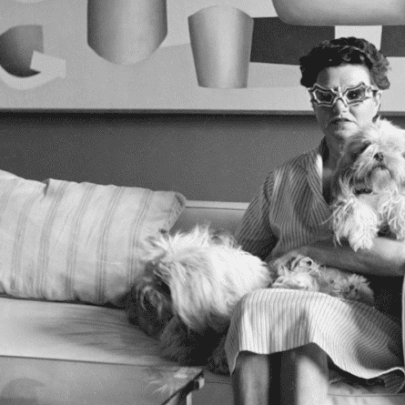 0201cikk-kepek-2021-800x445