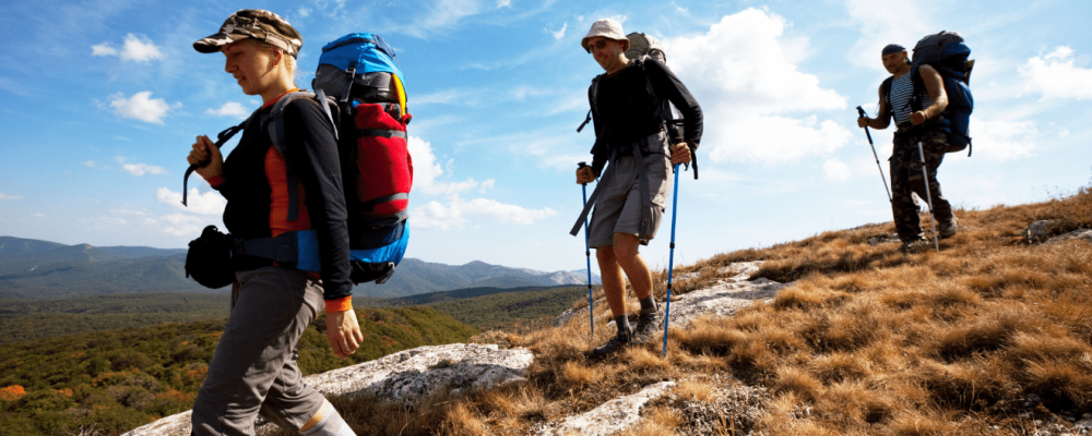 Kép forrása: Canva-Kamchatka