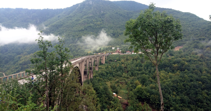 Kép forrása: Zibrányi-Szabó Gábor by WakeUp Magazin