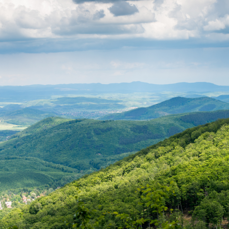 Kép forrása: Canva-klagyivik (Getty Images)