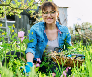 tavaszi gyomnövények