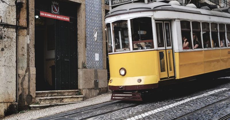 2020_magazin_nagy-2-800x445-2