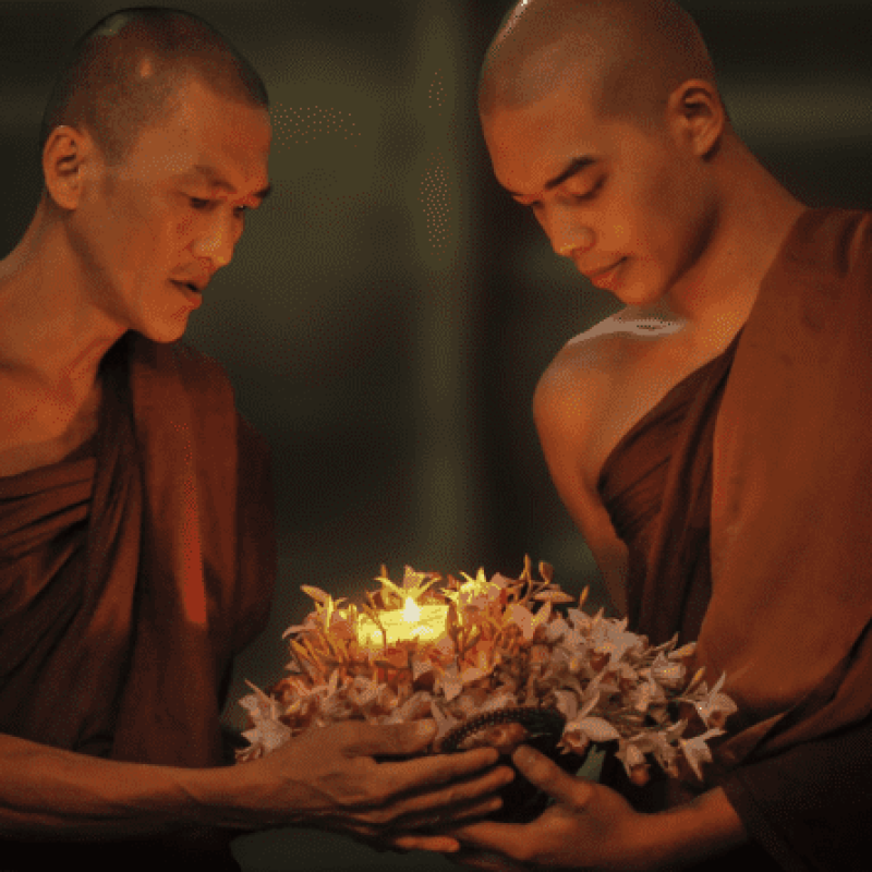 2020_magazin_nagy-24-800x445-1