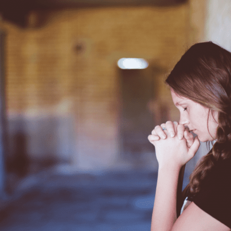 2020_magazin_nagy-5-800x445