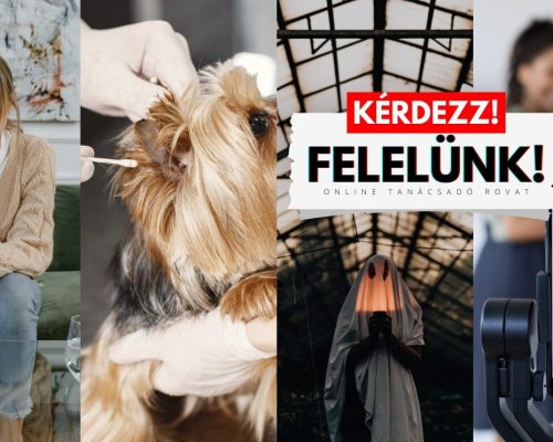 kérdezz