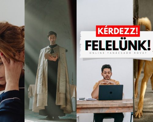 idióta szomszéd, kiégett tanárok, kérdezz, tanácsadó,