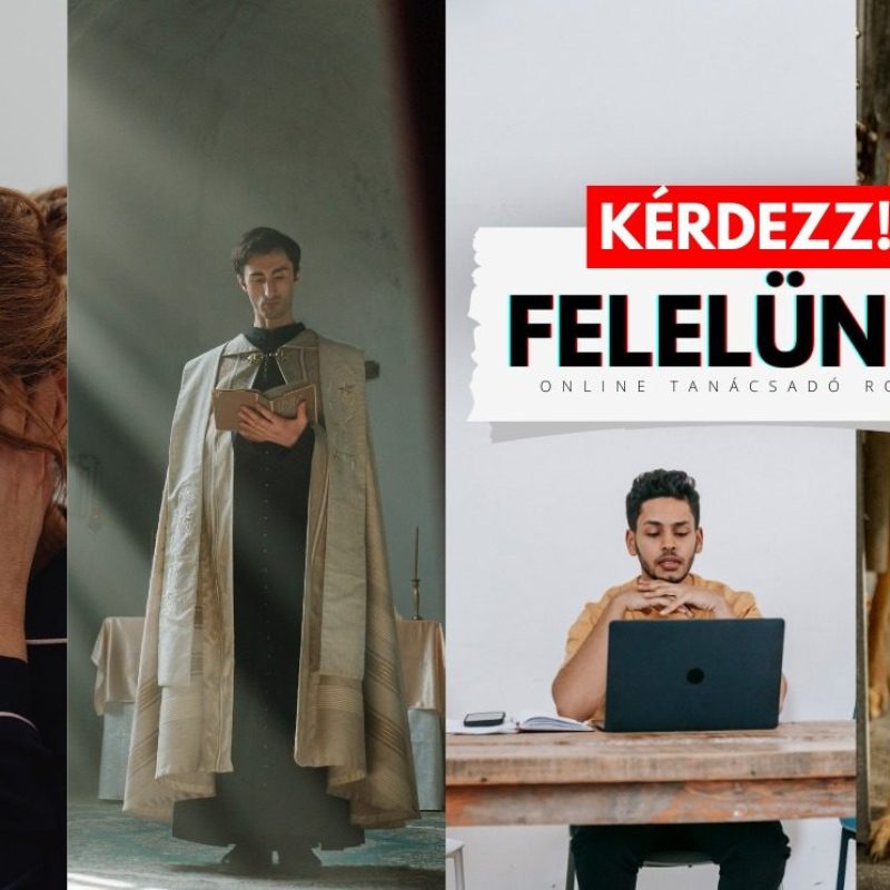 idióta szomszéd, kiégett tanárok, kérdezz, tanácsadó,