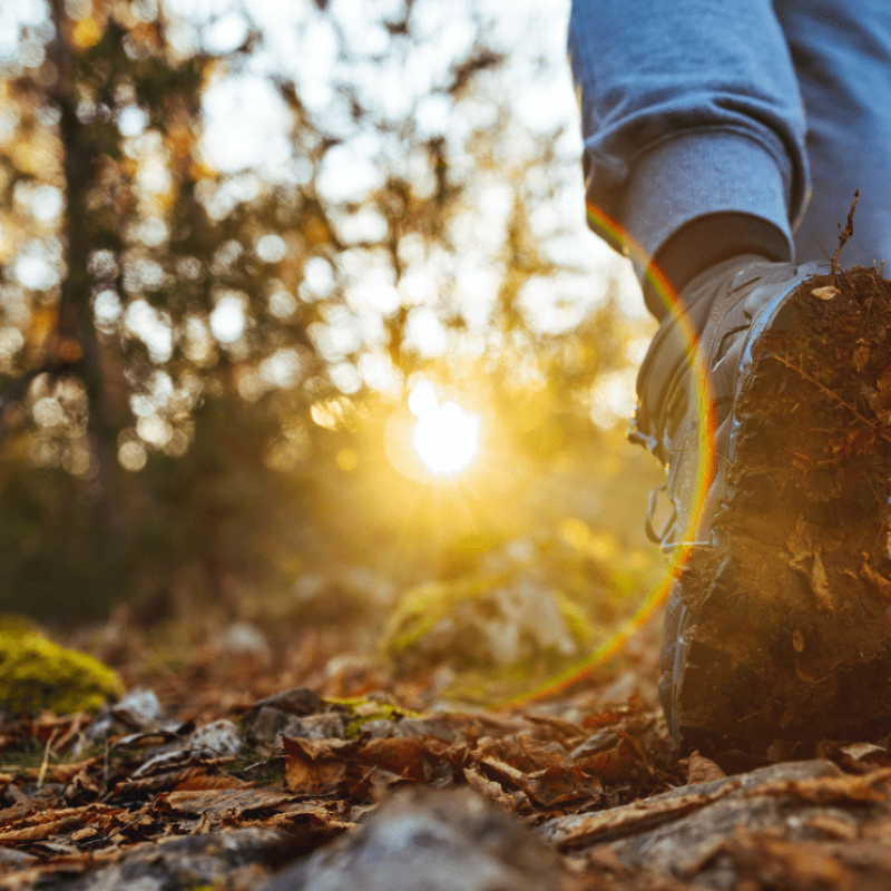 Kép forrása: Canva-ljubaphoto (Getty Images Signature)