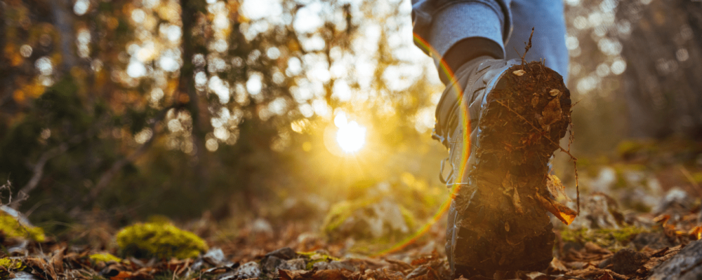 Kép forrása: Canva-ljubaphoto (Getty Images Signature)