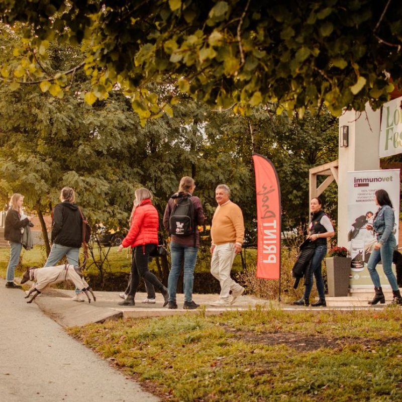 I. Lóbarát fesztivál