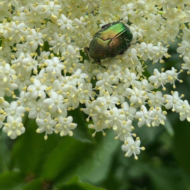 Kép forrása Value Management Network by Marczinka Mátyás