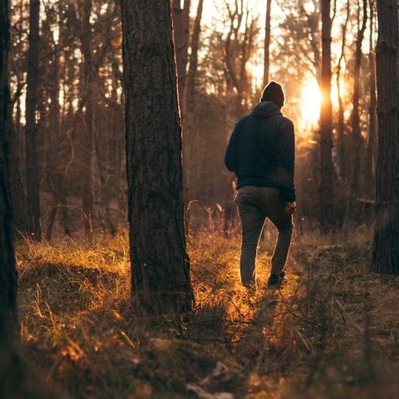 Mélységek. Sötétség. Magány. Tényleg erről kell szólni az ősznek-2