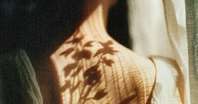 zene, kedvenc, Zagar, Wings of love