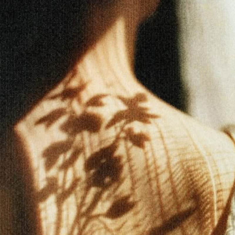 zene, kedvenc, Zagar, Wings of love