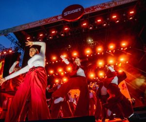 Budapest Park, Sziget Fesztivál