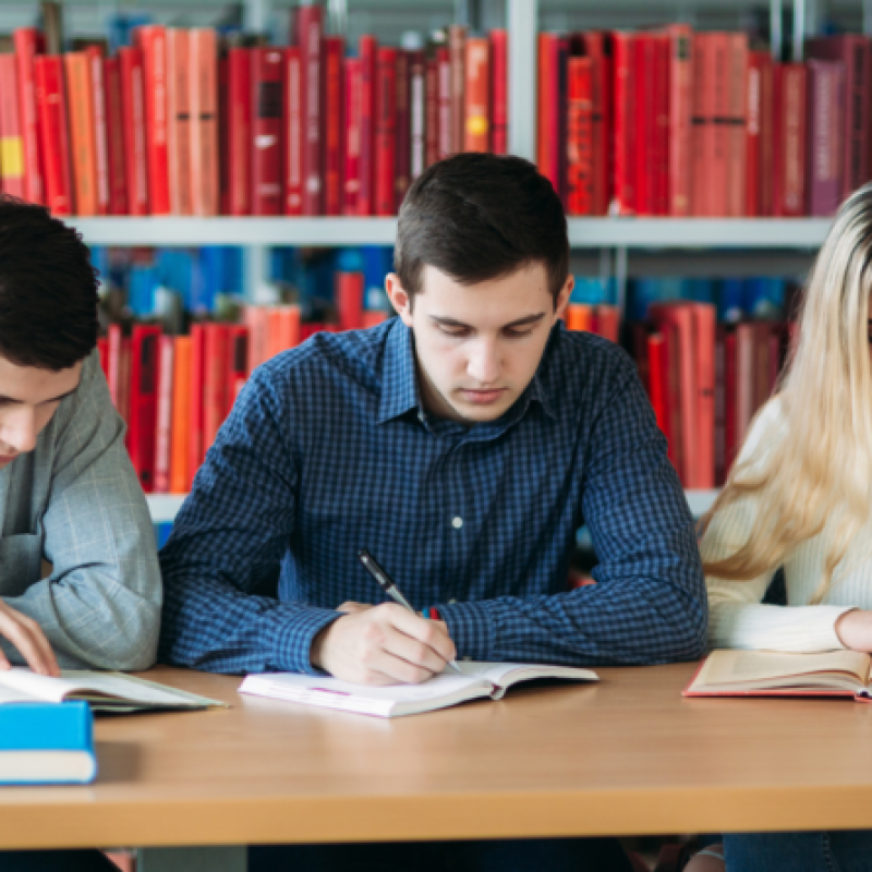 cikk-kepek-2021-43-800x445