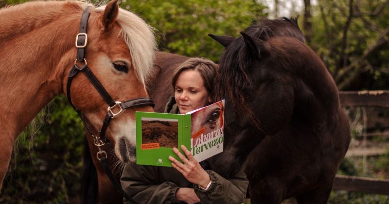 dr. Tornyi Katalin, Lóbarát közösség, Lóbarát tervező, Lóbarát Akadémia, Lóbarát fesztivál