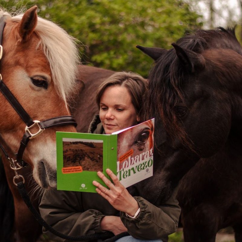 dr. Tornyi Katalin, Lóbarát közösség, Lóbarát tervező, Lóbarát Akadémia, Lóbarát fesztivál