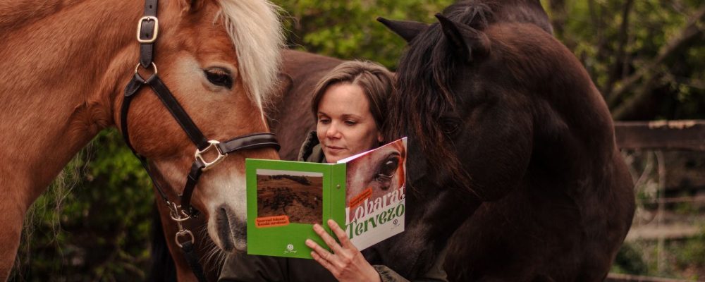 dr. Tornyi Katalin, Lóbarát közösség, Lóbarát tervező, Lóbarát Akadémia, Lóbarát fesztivál
