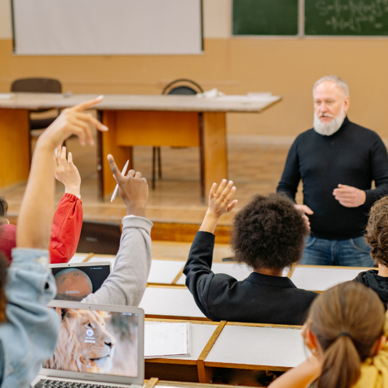 egyetem, hallgatók,