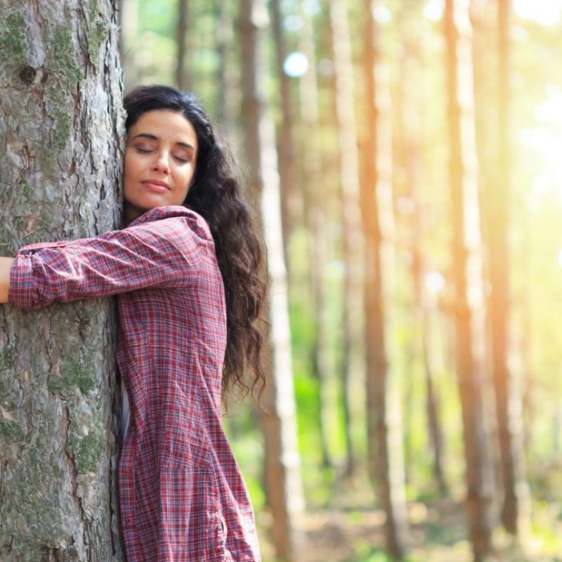 föld napja - fa ölelés