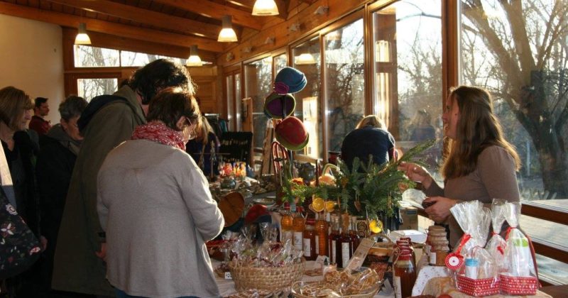 A képet biztosította: Ozorai Szilvia