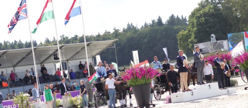 hölle martin, kettesfogathajtás Forrás Horváth Krisztina sajtóközlemény hölle martin, kettesfogathajtás, lovak, hollandia,