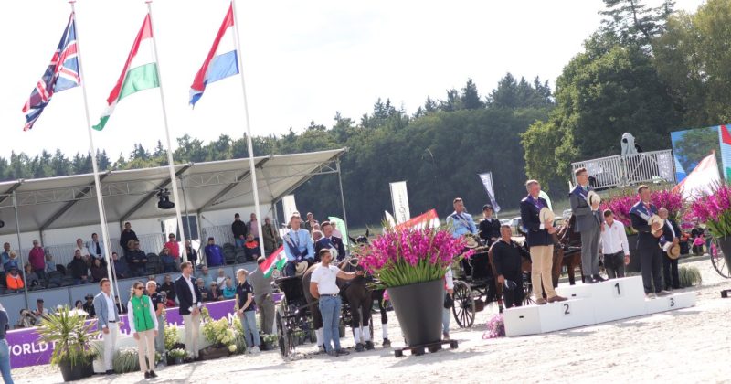 hölle martin, kettesfogathajtás, lovak, hollandia,