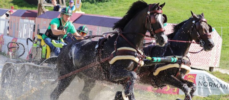 hölle martin, lovak, ló, lóverseny Kép forrása Magyar Lovassport Szövetség lovak, lovassport
