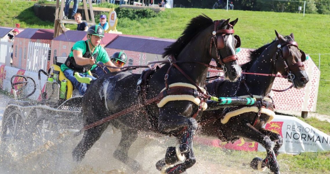 hölle martin, lovak, ló, lóverseny Kép forrása Magyar Lovassport Szövetség lovak, lovassport