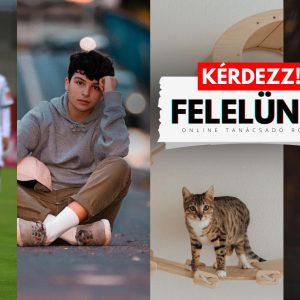Kérdezz!
