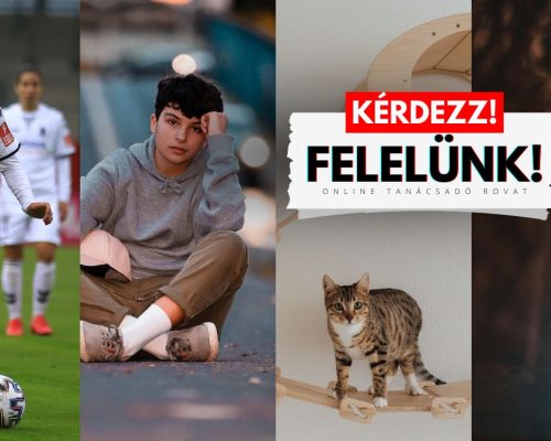 Kérdezz!