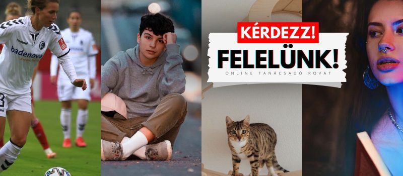 kérdezz! borító | Képek forrása: Pexels Kérdezz!