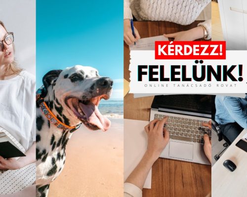 Kérdezz!