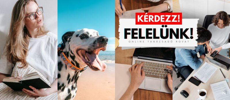 kérdezz! borító KF3 Képek forrása Canva – Pexels Kérdezz!