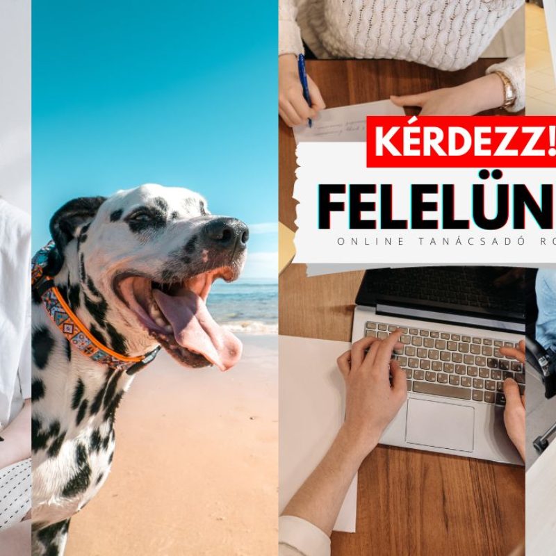 Kérdezz!