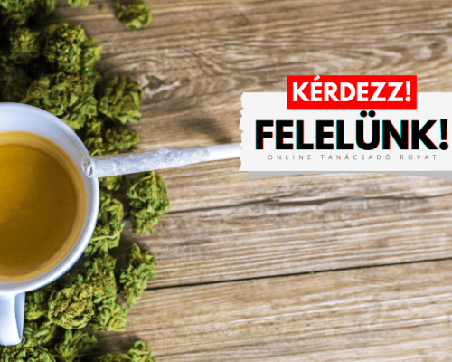 kérdezz felelünk - WakeUp Magazin - 3. rész-2