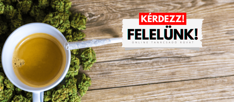 kérdezz felelünk – WakeUp Magazin – 3. rész-2 kérdezz felelünk - WakeUp Magazin - 3. rész-2
